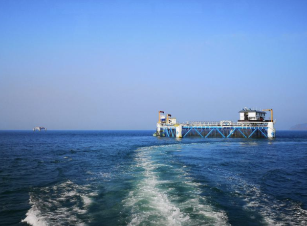 怀远股票 海上新山东|耕海牧渔，丰盈“蓝色粮仓”