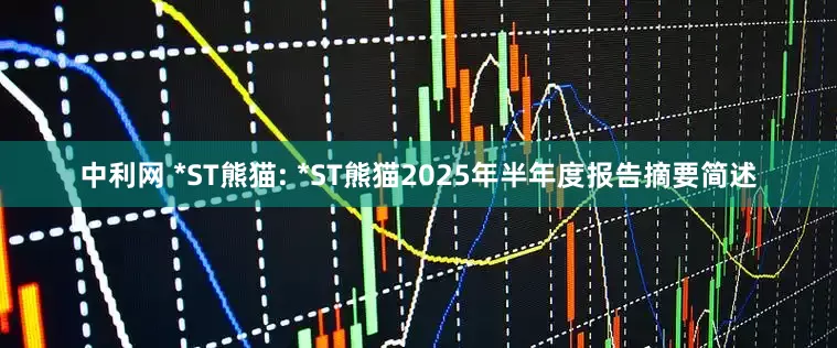 中利网 *ST熊猫: *ST熊猫2025年半年度报告摘要简述