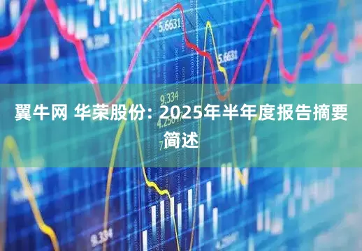 翼牛网 华荣股份: 2025年半年度报告摘要简述
