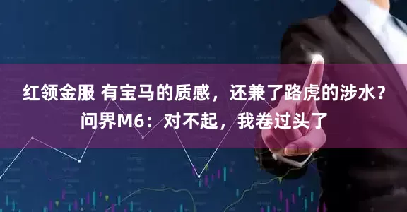 红领金服 有宝马的质感，还兼了路虎的涉水？问界M6：对不起，我卷过头了